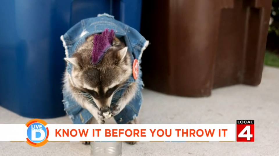 Recycling Racoons Commerical