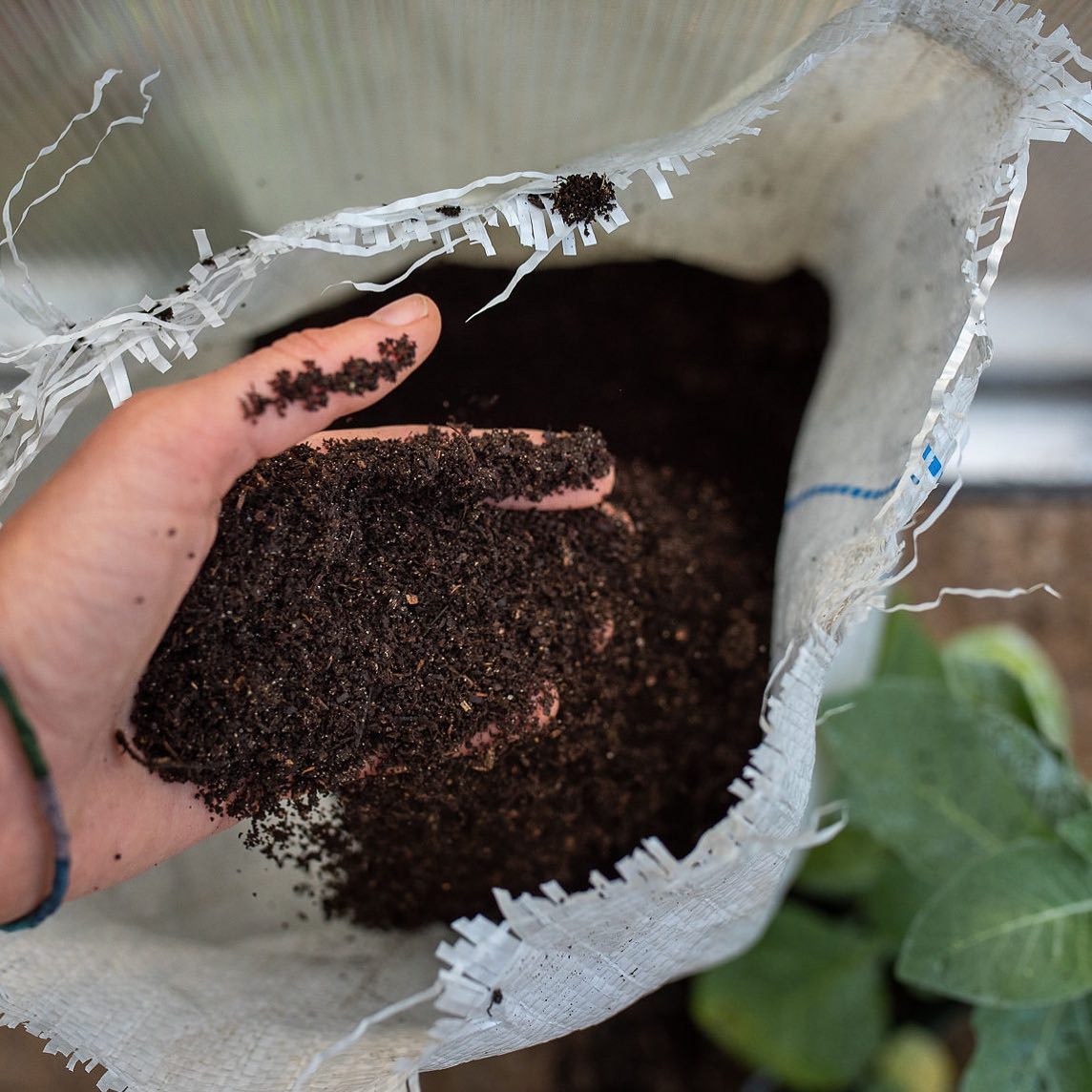 man gardening