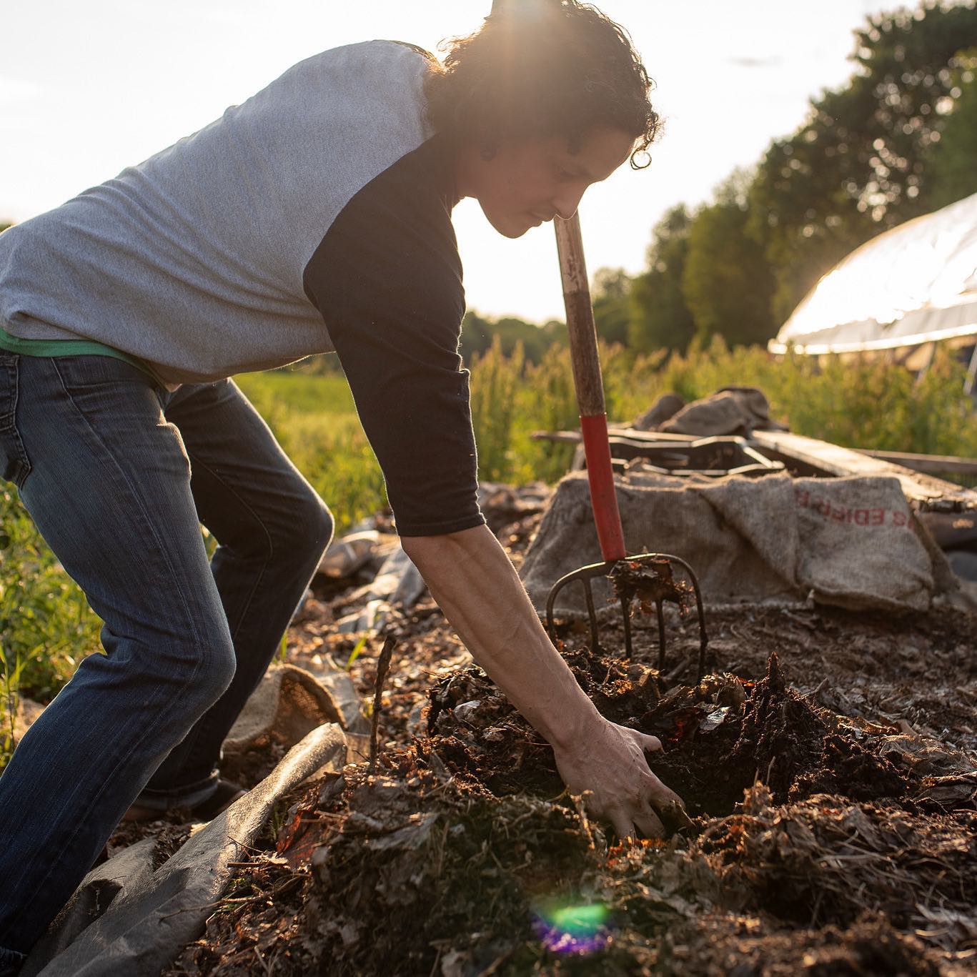 man gardening